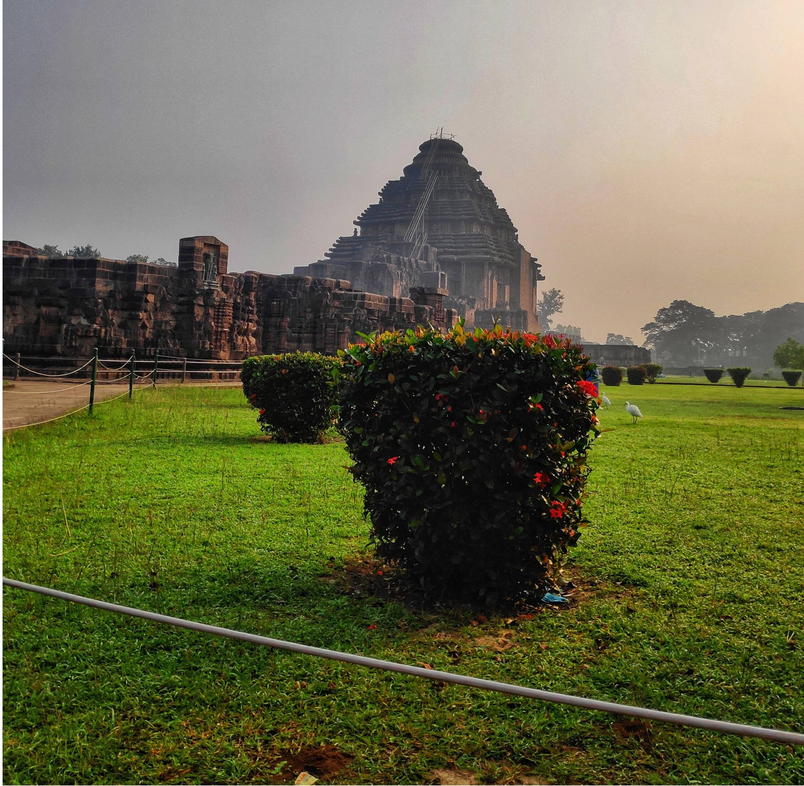 Konark Tour Package