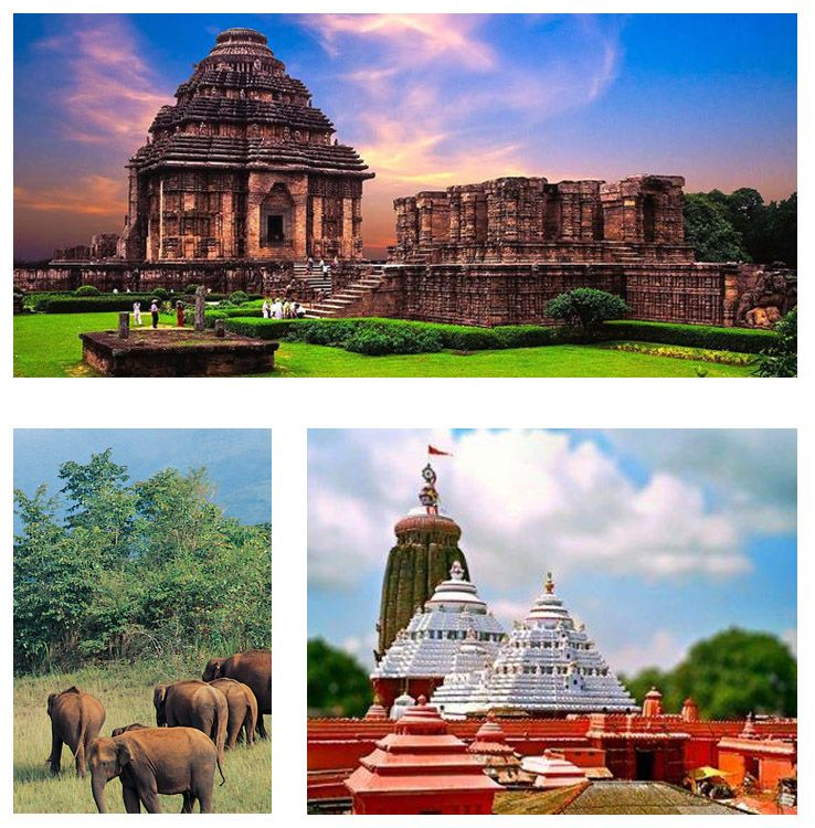 Puri, Konark, Bhubaneswar and Chilika Tour