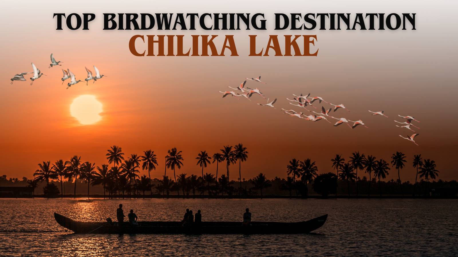 Why Chilika Lake Is India’s Top Birdwatching Destination This Winter ...