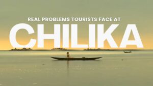 chilika lake timing