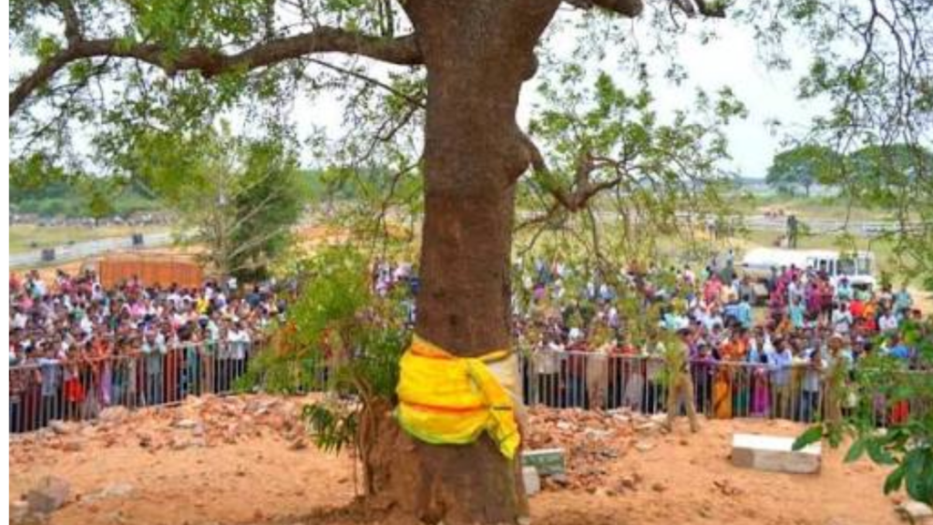 Nabakalebara ceremony