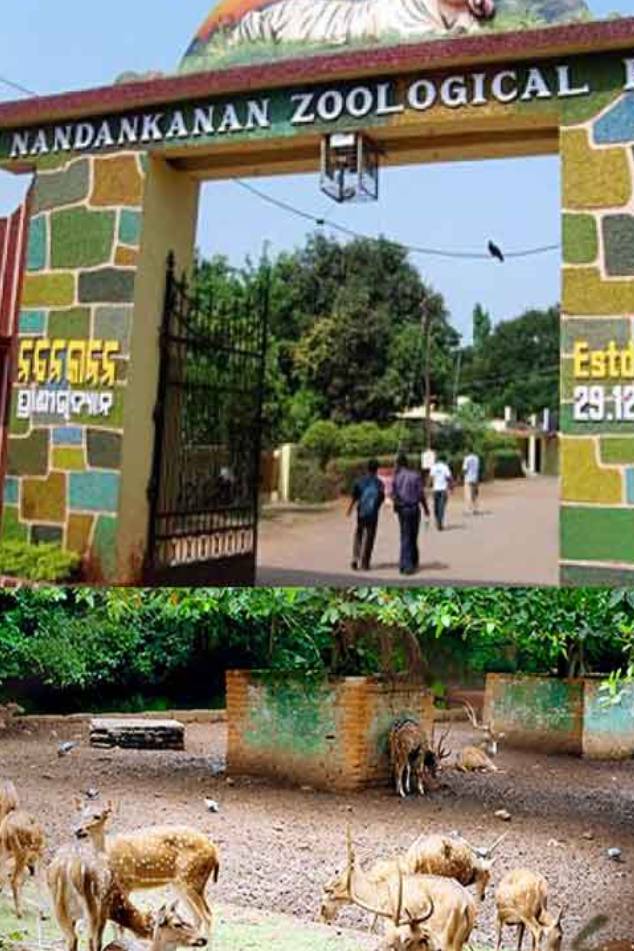 Nandankanan Zoo